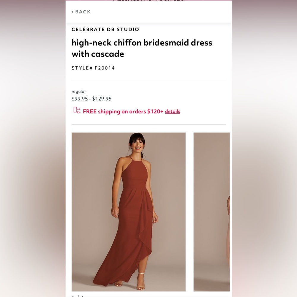 Cinnamon David’s Bridal Dress